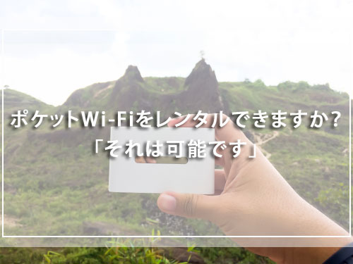 ポケットWi-Fiをレンタルできますか？「それは可能です」